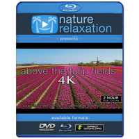 "Above the Tulip Fields" Holland 2-Hour Aerial Nature Film + Piano Music 4K