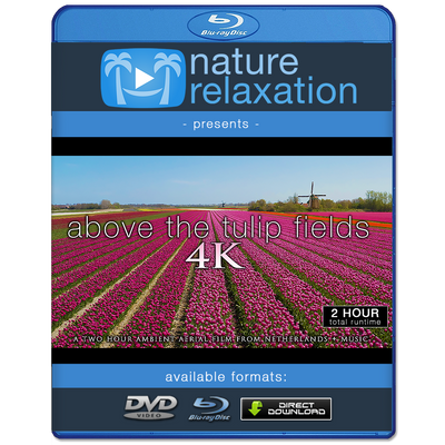 "Above the Tulip Fields" Holland 2-Hour Aerial Nature Film + Piano Music 4K