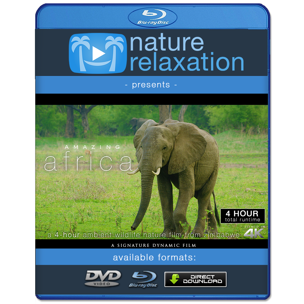 Animals & Wildlife Videos by Nature Relaxation in 4K / HD