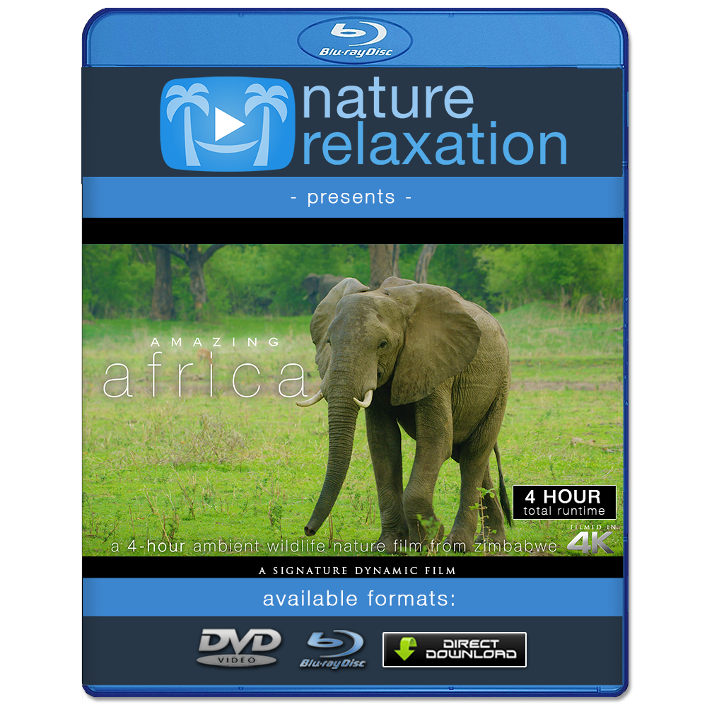 "Amazing Africa" Zimbabwe 4 Hour Dynamic Nature Wildlife Video 4K