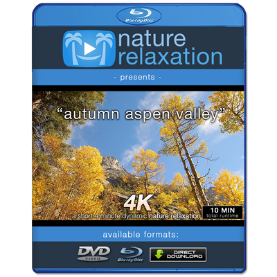 "Autumn Aspen Valley Relaxation" 10 MIN Music + Nature Video 4K
