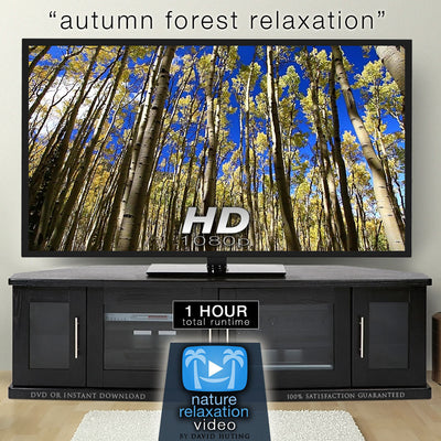 "Autumn Forest Relaxation" 1 HR Dynamic Nature Video 1080p