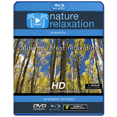 "Autumn Forest Relaxation" 1 HR Dynamic Nature Video 1080p