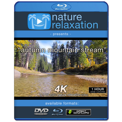 "Autumn Mountain Stream" 1 HR  Static Nature Video 4K