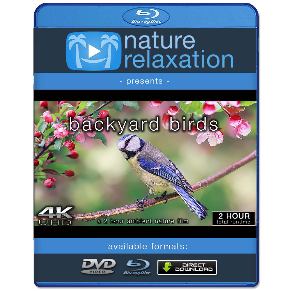 (未使用･未開封品)Birds of the Backyard [DVD] Birds of the Backyard [DVD]