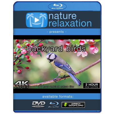 "Backyard Birds" 2-Hour Dynamic Wildlife Nature Video in 4K