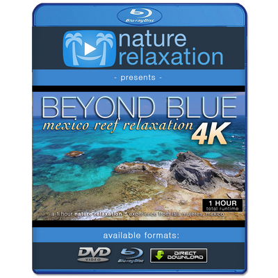 "Beyond Blue" Mexico Reef 1 Hour 4K Nature Relaxation Video