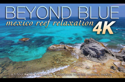 "Beyond Blue" Mexico Reef 1 Hour 4K Nature Relaxation Video