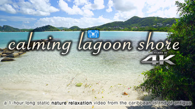 "Calming Lagoon Shore" 1 Hour 4K Static Caribbean Video