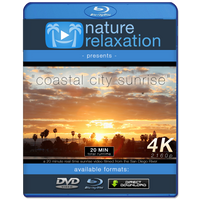 "Coastal City Sunrise" 20 MIN 4K Nature Relaxation Video