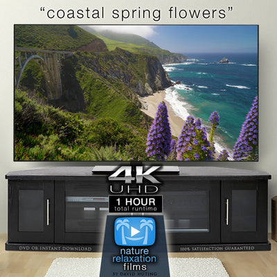 "Coastal Spring Flowers" 1 Hour Dynamic Nature Film - Big Sur California 2020