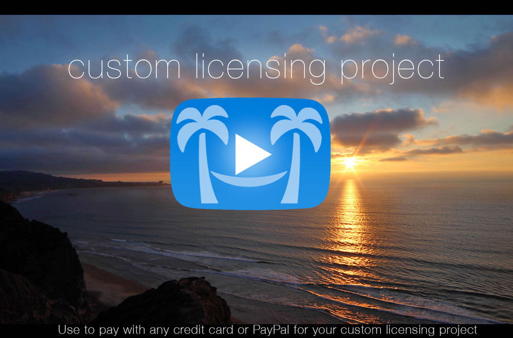 Custom Licensing Project: Pay with Credit Card or PayPal