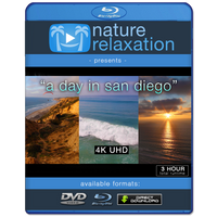 "A Day in San Diego" 3 Hours of Pure 4K Coastal Beach Scenes