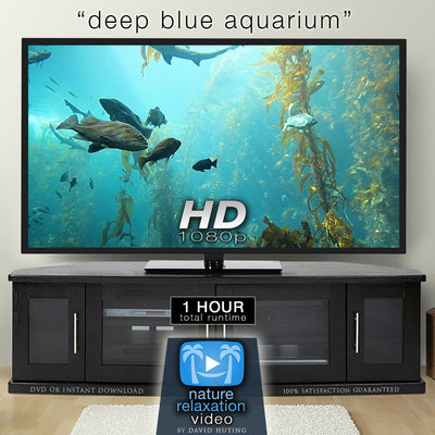 "Deep Blue Aquarium" w/ Music 1 HR Static Nature Video Scene HD
