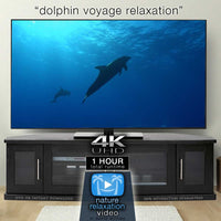 "Dolphin Voyage Relaxation" 1 Hour Dynamic Music Video