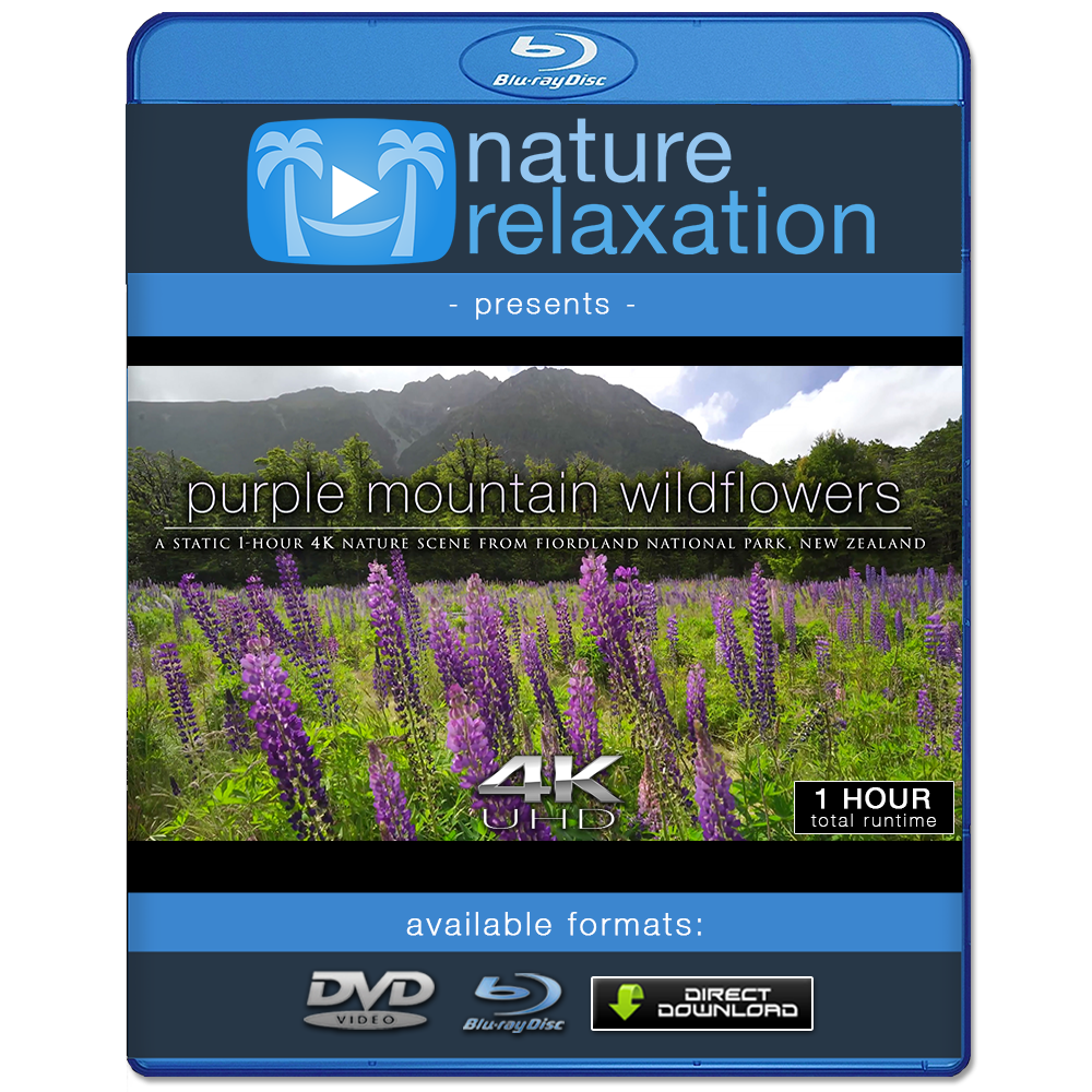 "Purple Mountain Wildflowers" 1 HR  Static Nature Video New Zealand 4K