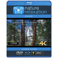 "Yosemite Falls Forest Creek" 1 HR 4K Static Nature Relaxation Video