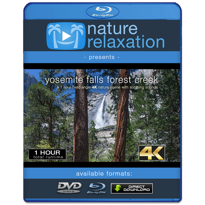 "Yosemite Falls Forest Creek" 1 HR 4K Static Nature Relaxation Video