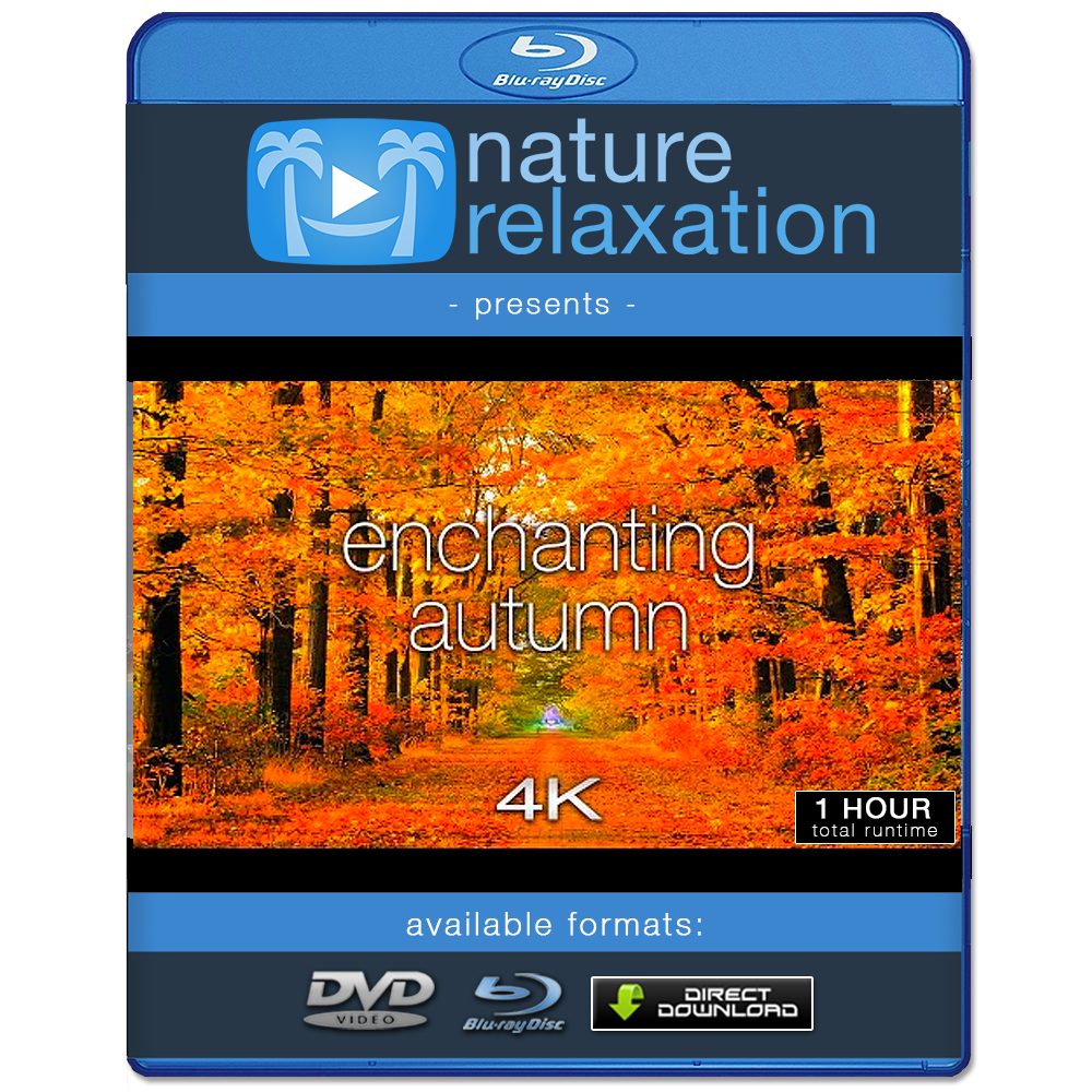 "Enchanting Autumn" 1 or 11 HR Fall Nature Film in 4K UHD