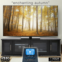 "Enchanting Autumn" 1 or 11 HR Fall Nature Film in 4K UHD
