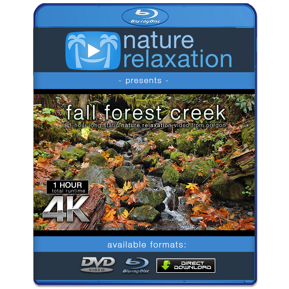 "Fall Oregon Creek" 1 HR  Static Nature Video 4K