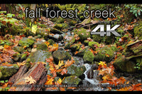 "Fall Oregon Creek" 1 HR  Static Nature Video 4K