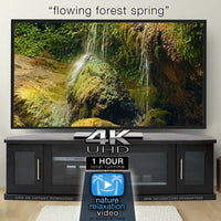 "Flowing Forest Spring" 1 HR  Static Nature Video 4K