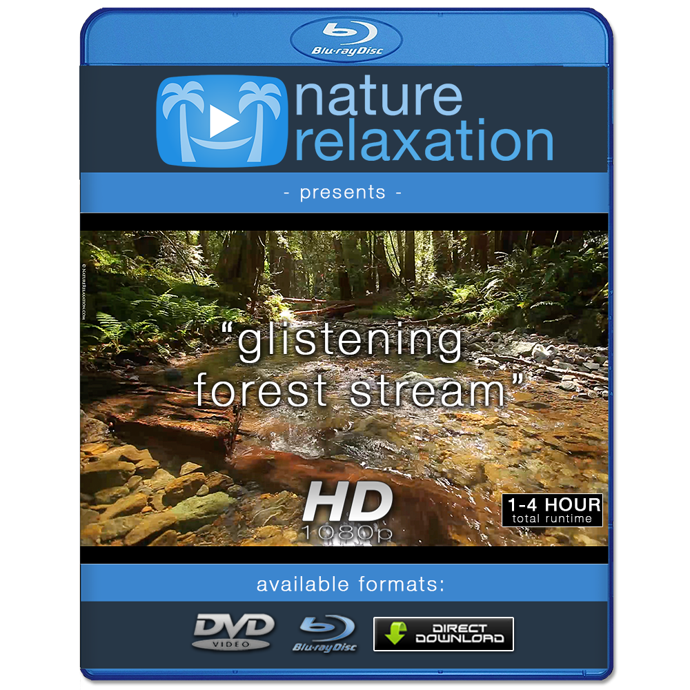 "Glistening Forest Stream" Static Nature Relaxation Video HD