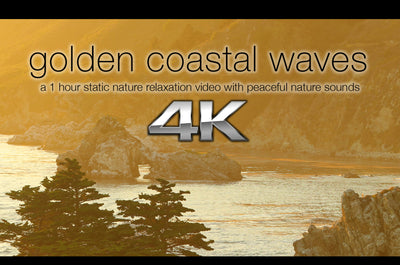 "Golden Coastal Waves" 1 HR Static 4K Nature Video