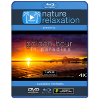 "Golden Hour in Paradise" Sunsets & Sunrises 1HR Dynamic Film 4K