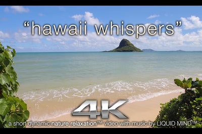 "Hawaii Whispers" 4K Dynamic Short Nature Relaxation™ Music Video