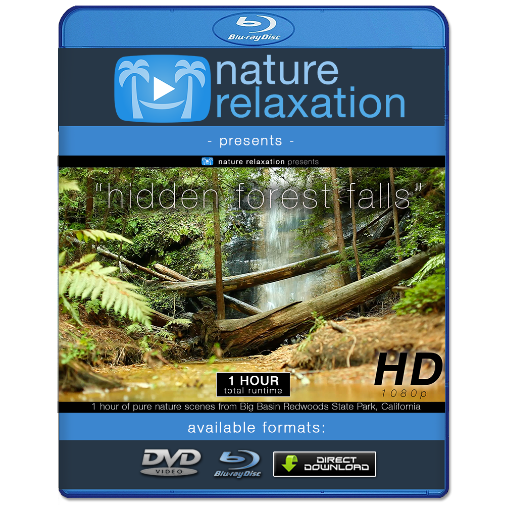 "Hidden Forest Falls" Dynamic HD Nature Relaxation Video 1 Hour 1080p