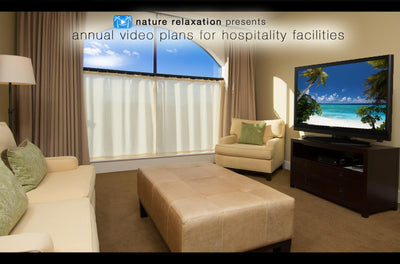 The Annual Nature Relaxation Plan for Small Businesses (Non-Healthcare)