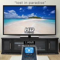 "Lost in Paradise: Hidden Fiji Islands" 1 HR Dynamic Video HD