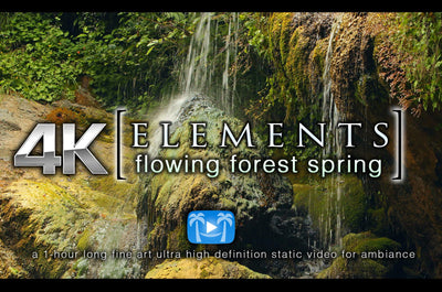 "Flowing Forest Spring" 1 HR  Static Nature Video 4K