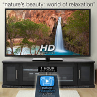 "Nature's Beauty: World of Relaxation" 1 HR Dynamic Video w Music