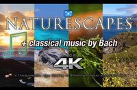 "NatureScapes" 1 Hour Dynamic 4K UHD Relaxation Vid + Classical Music