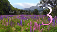 "Nature Relaxation Journey" Part III 2.5 HR Dynamic Video w Music 4K