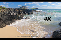 "Oahu Morning Waves" Hawaii 1 HR Still 4K Nature Video