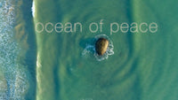 "Ocean of Peace" Australia 4K 7 Minute Aerial Nature Film w/ Music