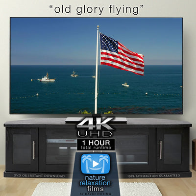 "Old Glory Flying" 1 HR 4K Static Flag + Ocean Video Scene