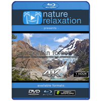 "Patagonian Mountain Vista" 1HR Static Nature Relaxation Video 4K