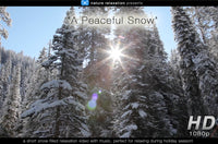 "A Peaceful Snow" Short 5 MIN Winter Music Video HD 1080p