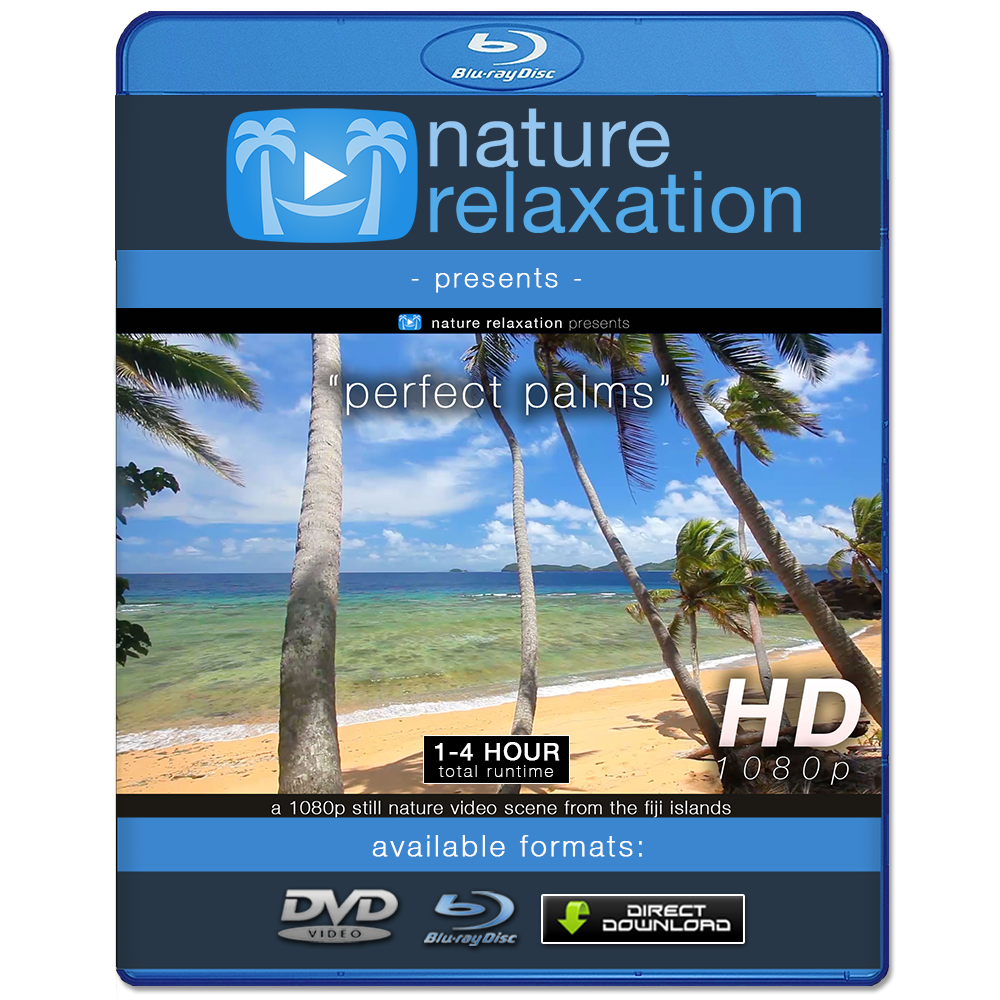 "Perfect Palms" Tropical Fiji Static Nature Video Scene