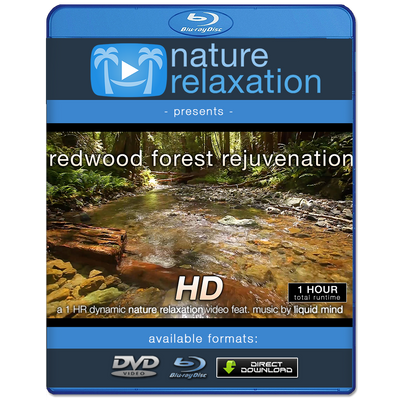 "Redwood Forest Rejuvenation" HD Nature Relaxation Video 1 Hour 1080p