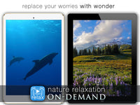 Prepaid Annual Subscription Plan for Nature Relaxation On-Demand (Personal Use)