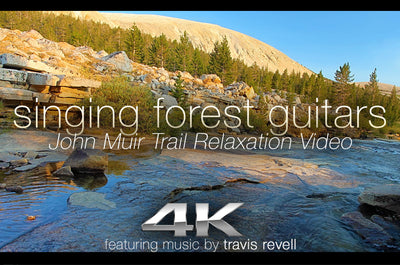 "Singing Forest Guitars" Sierra Creeks 2 Miin Relaxing 4K Music Video 432HZ