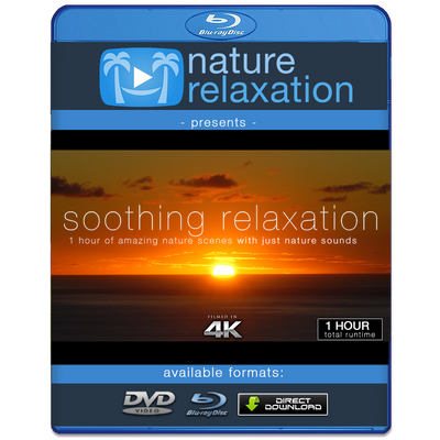 "Soothing Relaxation" 1HR Ultra-Dynamic Ambient Film Shot in 4K UHD