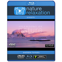 "Splendors of Nature" 12 Hour Film Compilation + Music 4K