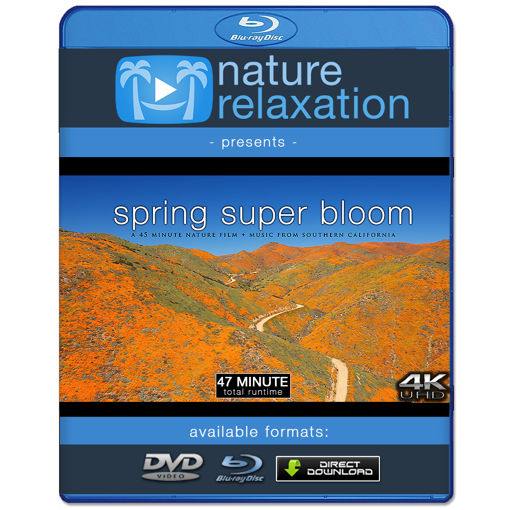 "Spring Super Bloom Relaxation" 45 MIN Dynamic Film in 4K UHD